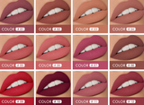 2 in 1 Lipstick + Liquid Lip Gloss